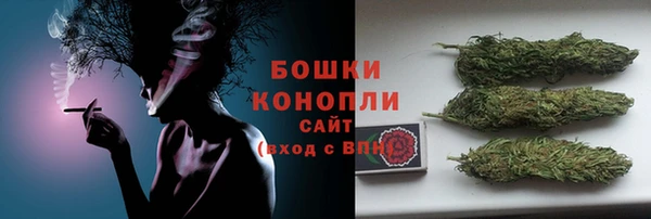 гашик Кодинск
