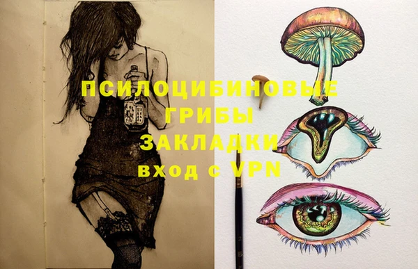 гашик Кодинск