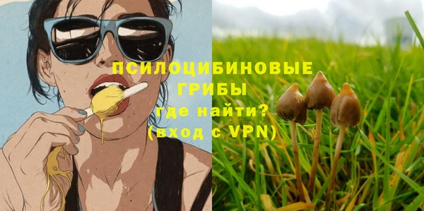 гашик Кодинск