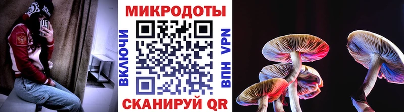 Галлюциногенные грибы Magic Shrooms  Сортавала 